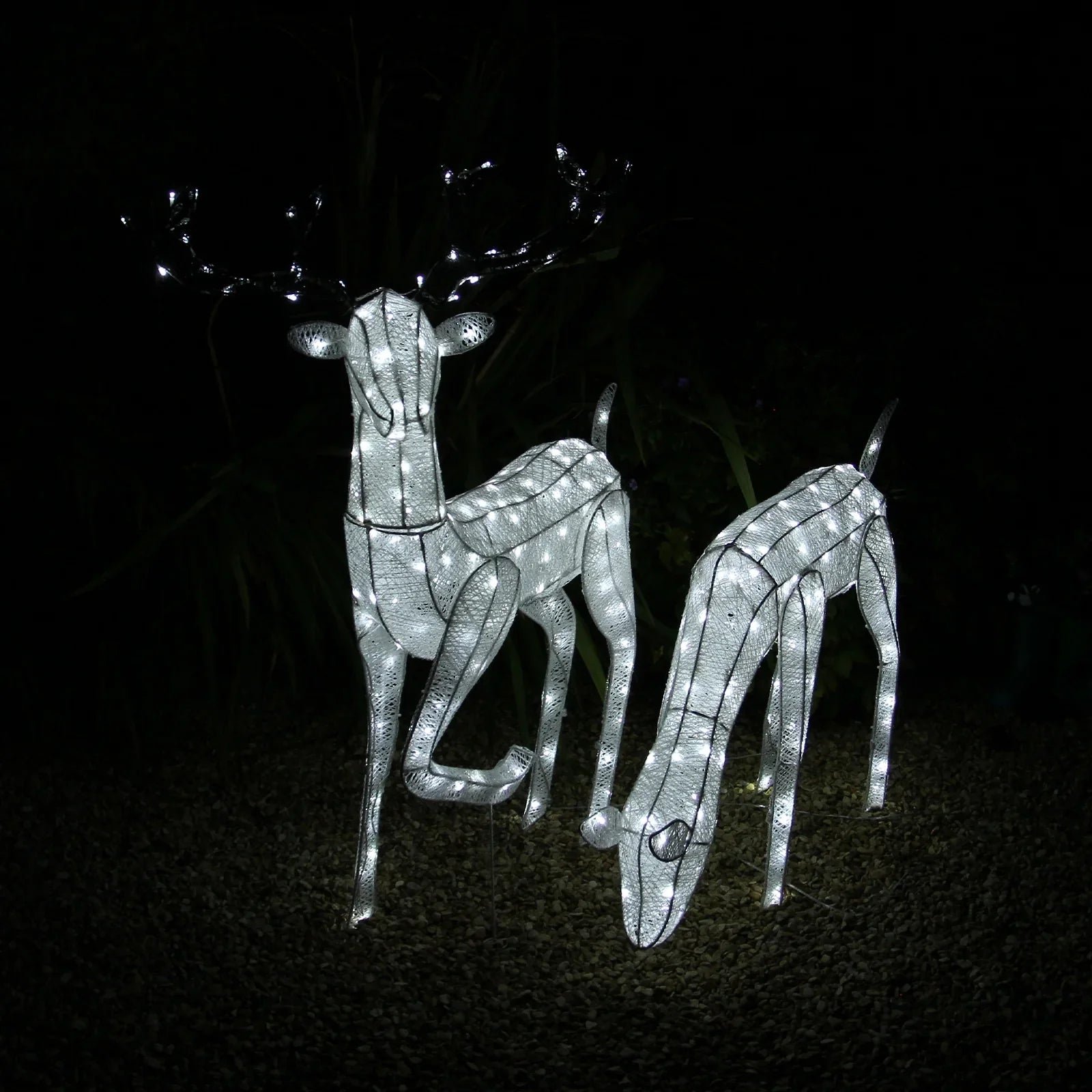Large Light Up Stag & Doe Reindeer Set - Image 10